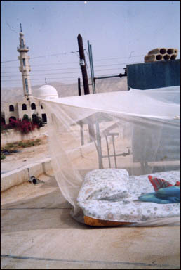 My bed on my roof in the Jordan River Valley, Joffa, Jordan.  From here I could see the lights of East Jerusalem on the mountains above and the city of Jerico below, just across the River Jordan into Palestine.  Each night I would say ¨Good Night Mosque, Good Night Jerusalem¨ and awake with the morning call to prayer.