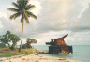 Kiribati 06