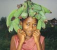 Daughter of the Mayor of Ruiche. She is returning from the fields carrying plantains (a large banana-like fruit usually eaten while green) on her head. Photo by Christine Strater.